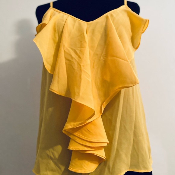 Sheer Charlotte Russe cami - Picture 4 of 5